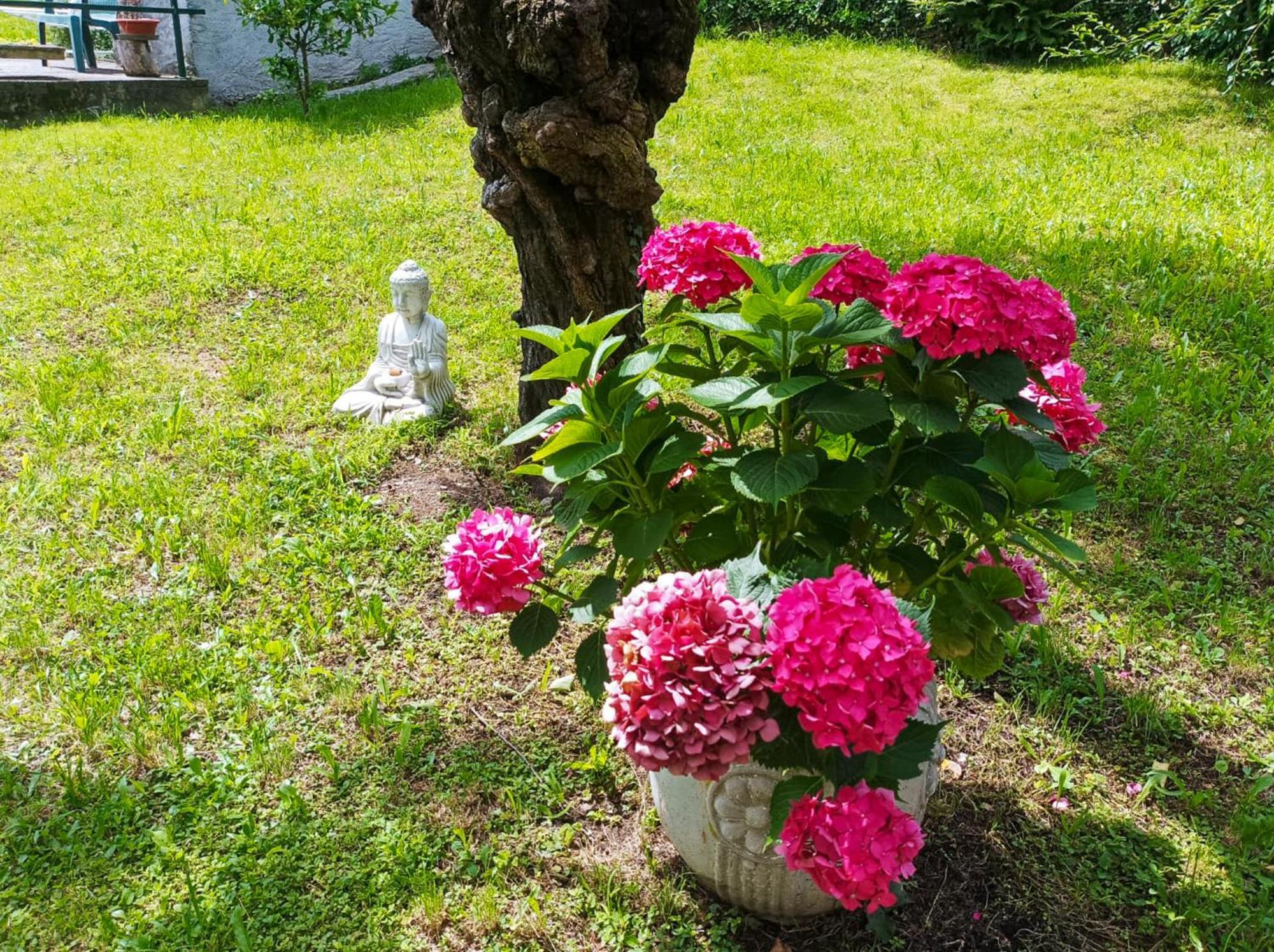 Tre Terre Ferienwohnung Pianello Del Lario エクステリア 写真